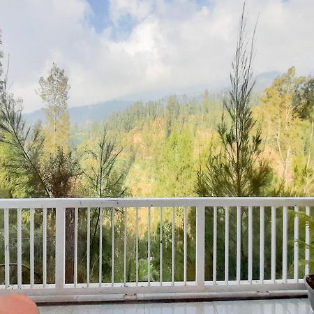 Delvia Bromo Homestay Mitra Reddoorz Pasuruan Esterno foto