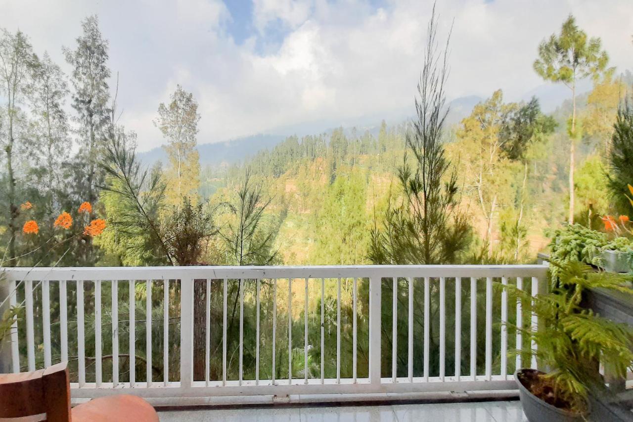 Delvia Bromo Homestay Mitra Reddoorz Pasuruan Esterno foto